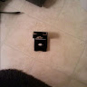 Meet your Posher, William